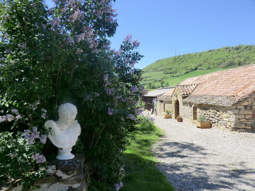 Bed and Breakfast Domaine D'Alcapies Saint-Jean-dʼAlcapiès Exterior foto